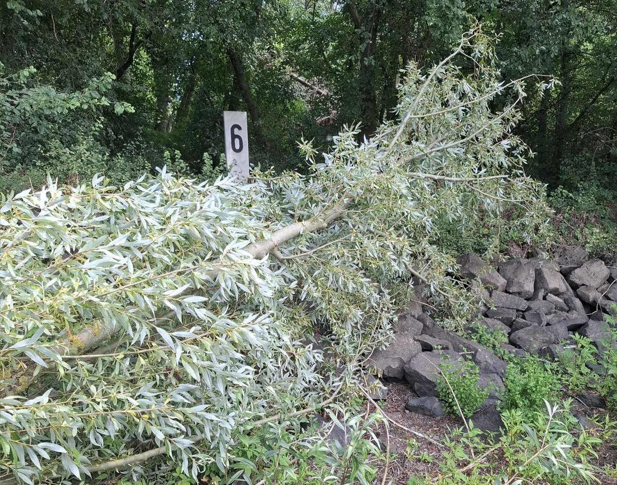 TorKUD.de tweet media