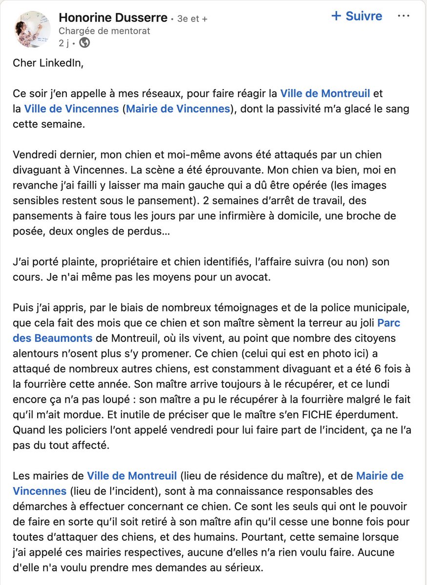 philomene251's tweet image. so montreuil… des mois que ce chien laissé seul à divaguer s'en prend à ses congénères aux abords des beaumonts (il habite dans la maison avec la grande cabane) et là il y a eu morsure grave sur personne (fracture ouverte, opération) mais aucune reponse
@Loline_B