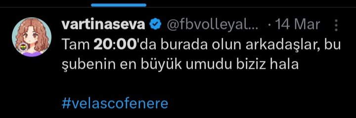 Aynı anda 15'ine İstanbul'a uçak bileti almaya karar verirken voleybolcular