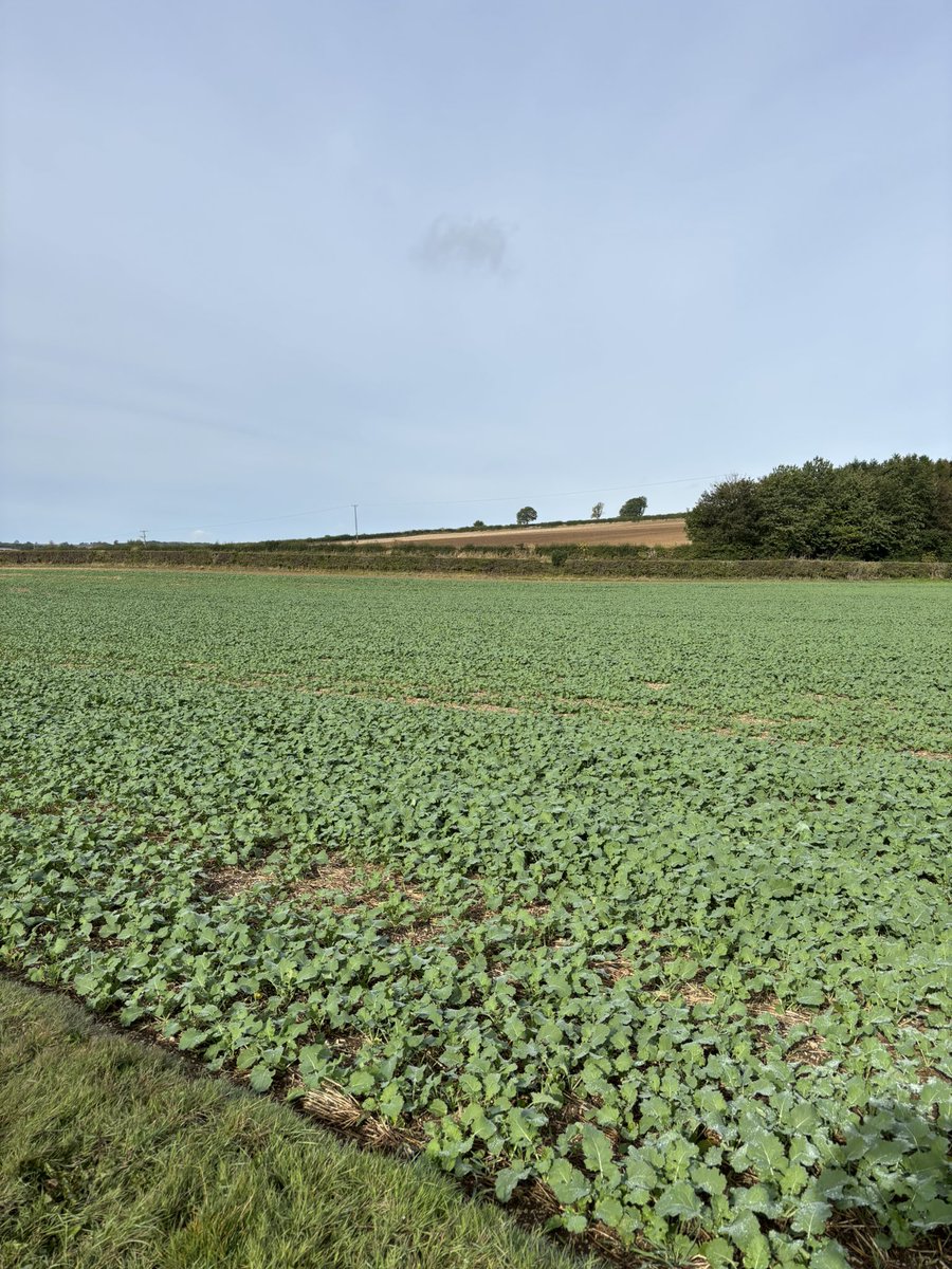 J S Scholes 🇺🇦 tweet media