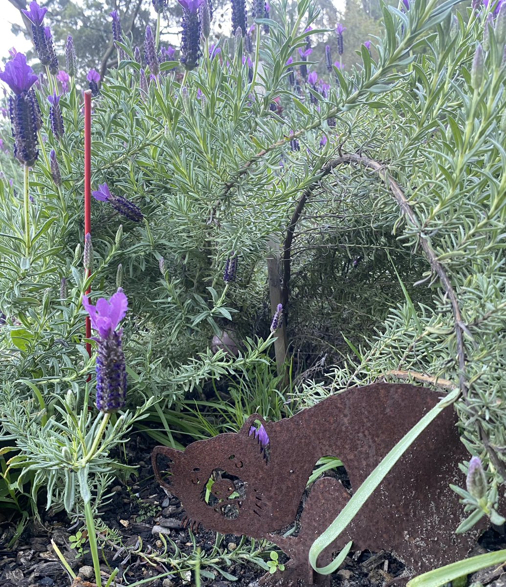 Sam GK Watson tweet media