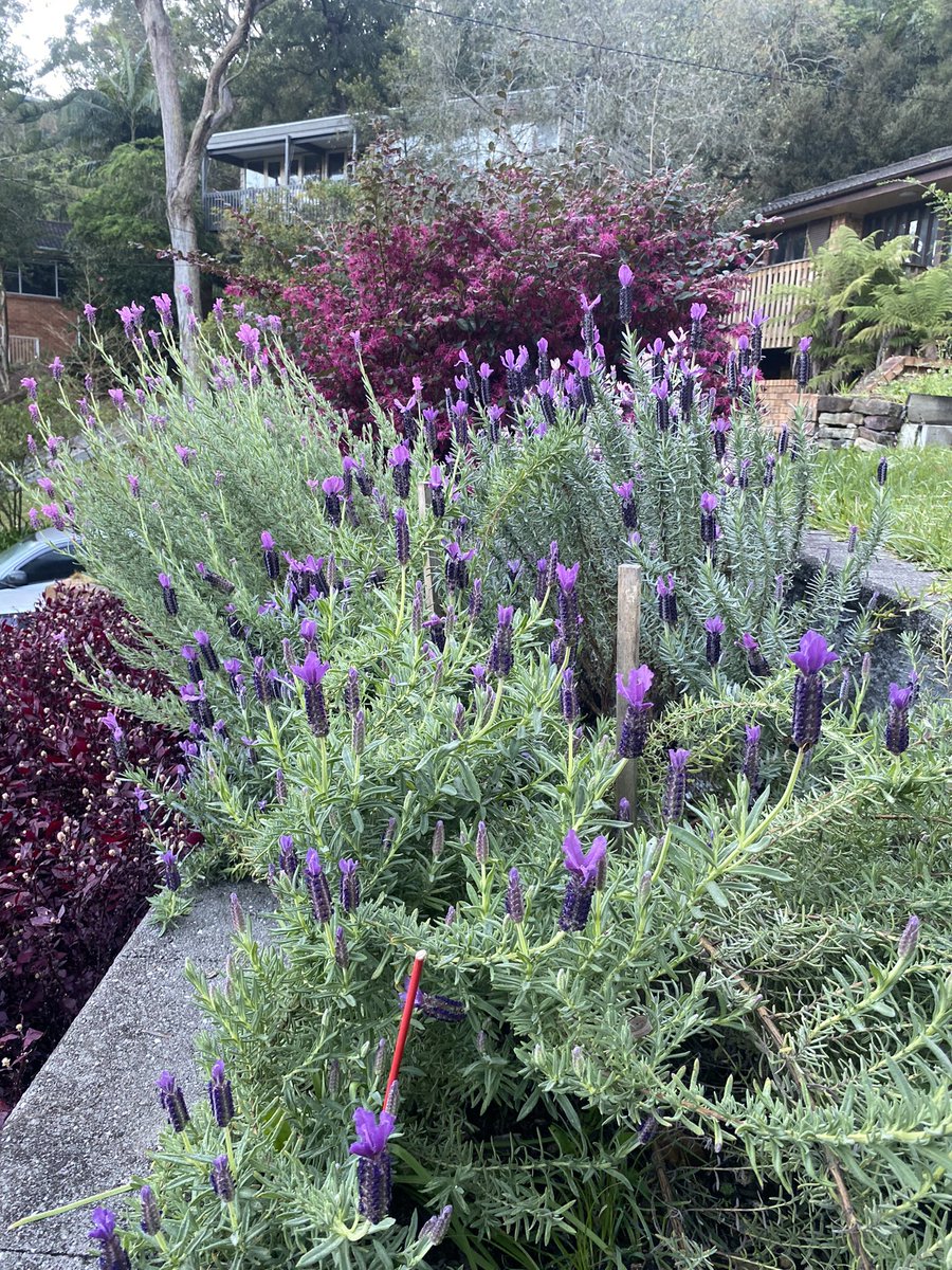 Sam GK Watson tweet media