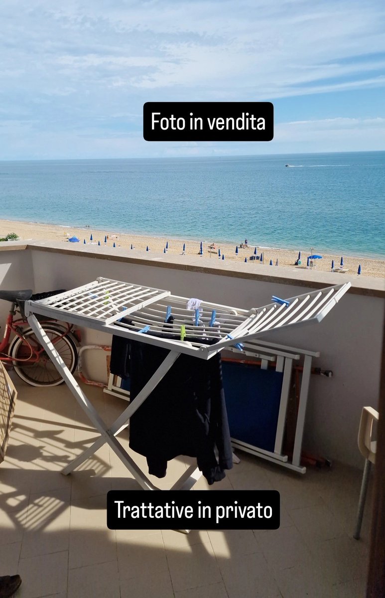 Sig. Donoso Cortes 4.1 🫃 🧀⚡🥜🍦🇳🇪 tweet media