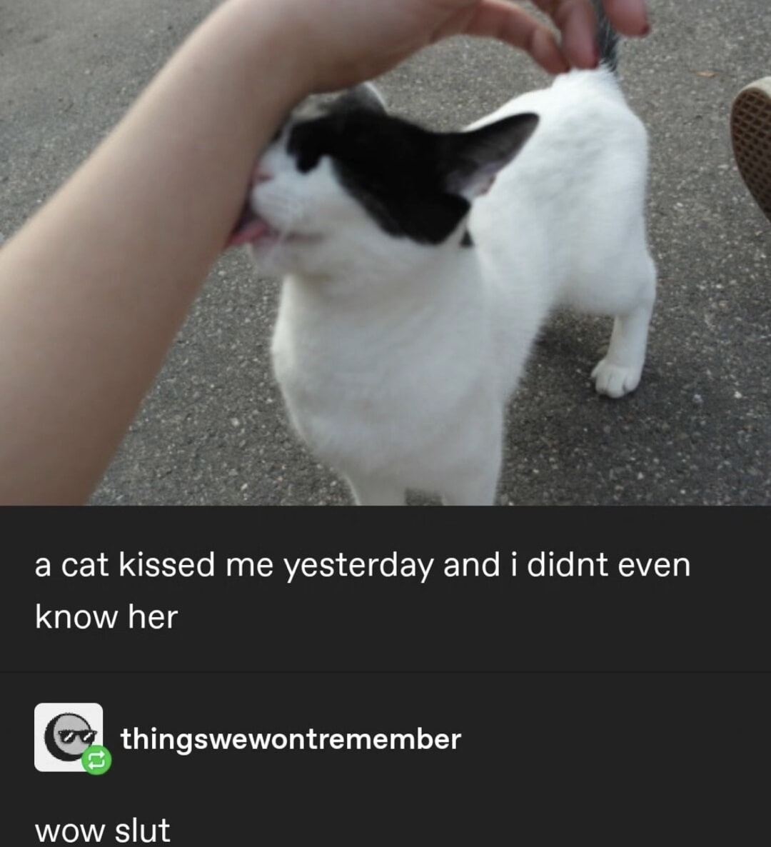 imagesaicouldnt's tweet image. 