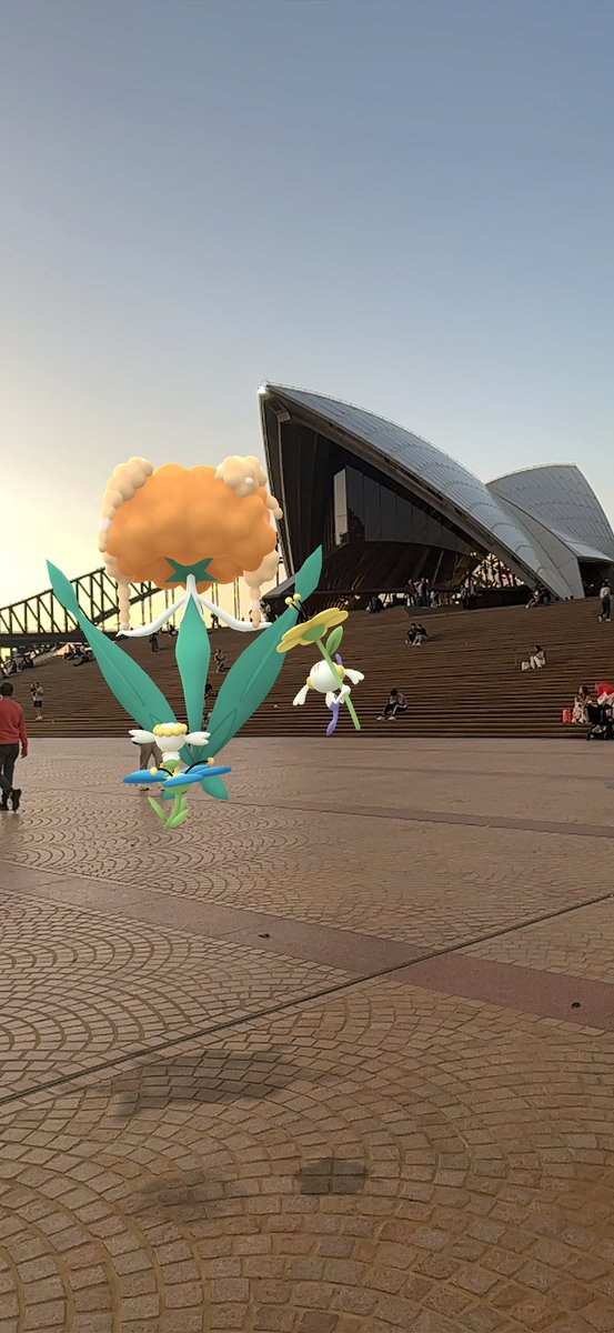 ausbubbles's tweet image. 💐116 SHINY FLABÉBÉ’S CAUGHT!💐

2436 caught. 

Most caught and shinies in a community day for me.

#PokemonGO