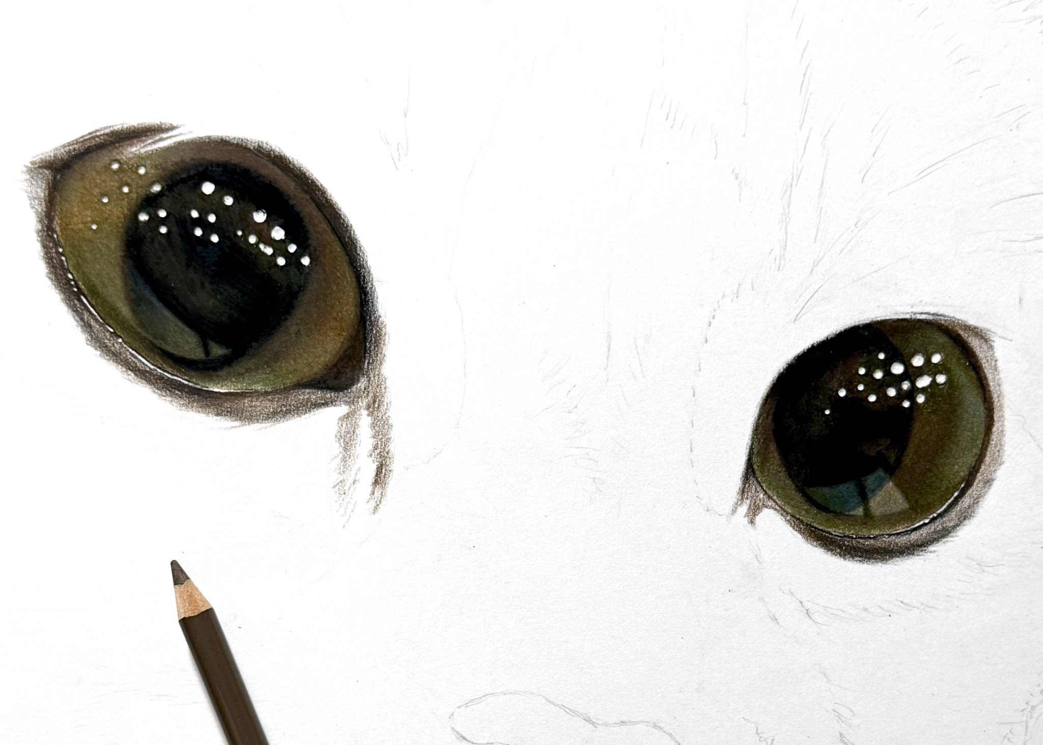 えりつん/eritsun🌹🌿 on X: 