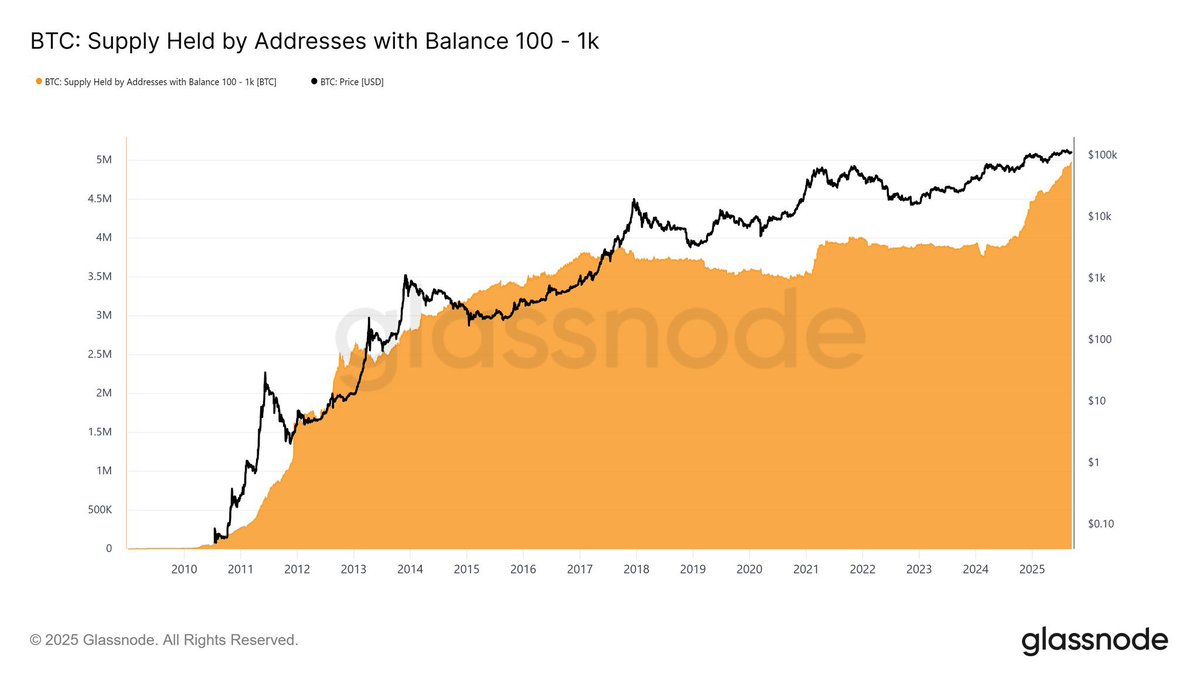 WHALES ARE BUYING #BITCOIN LIKE NEVER SEEN BEFORE 

HERE WE GO 🚀