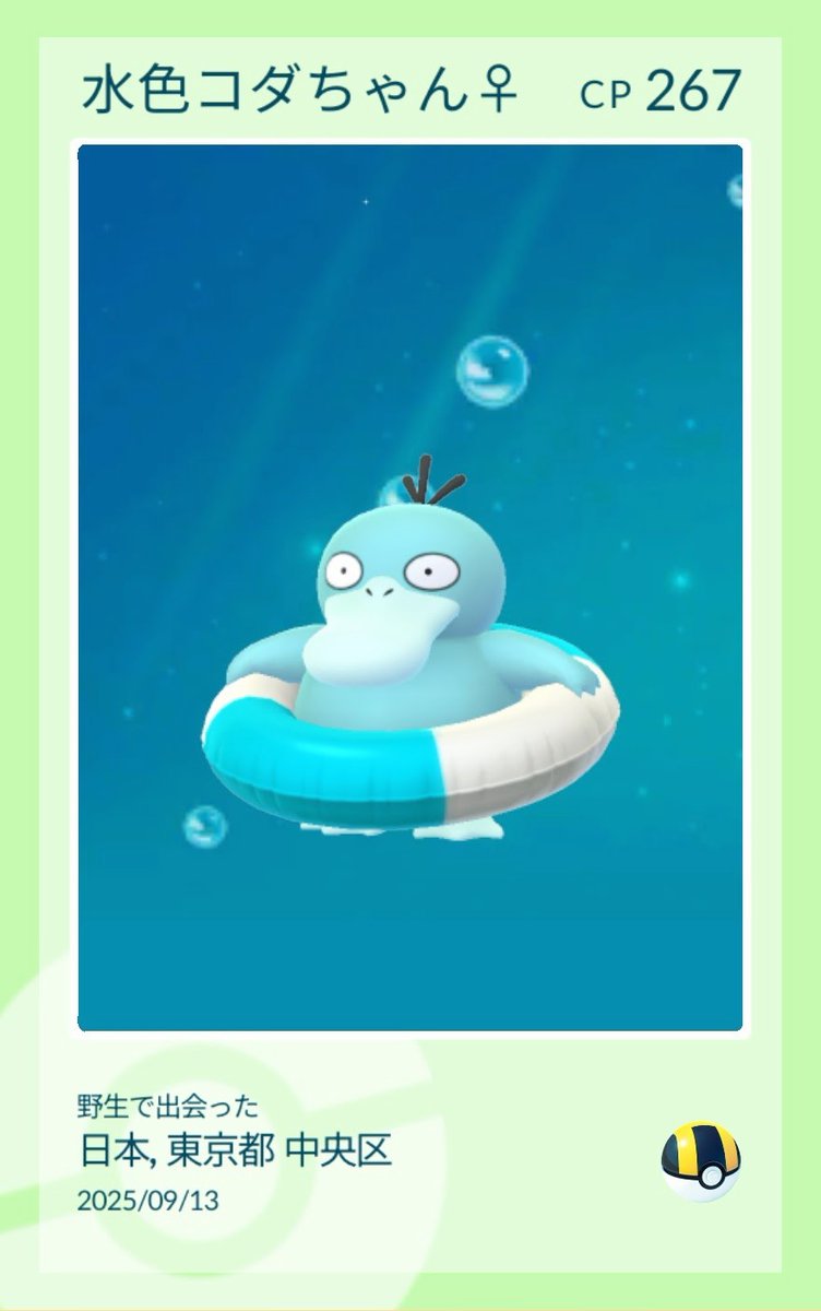 カルダモンちゃん tweet media