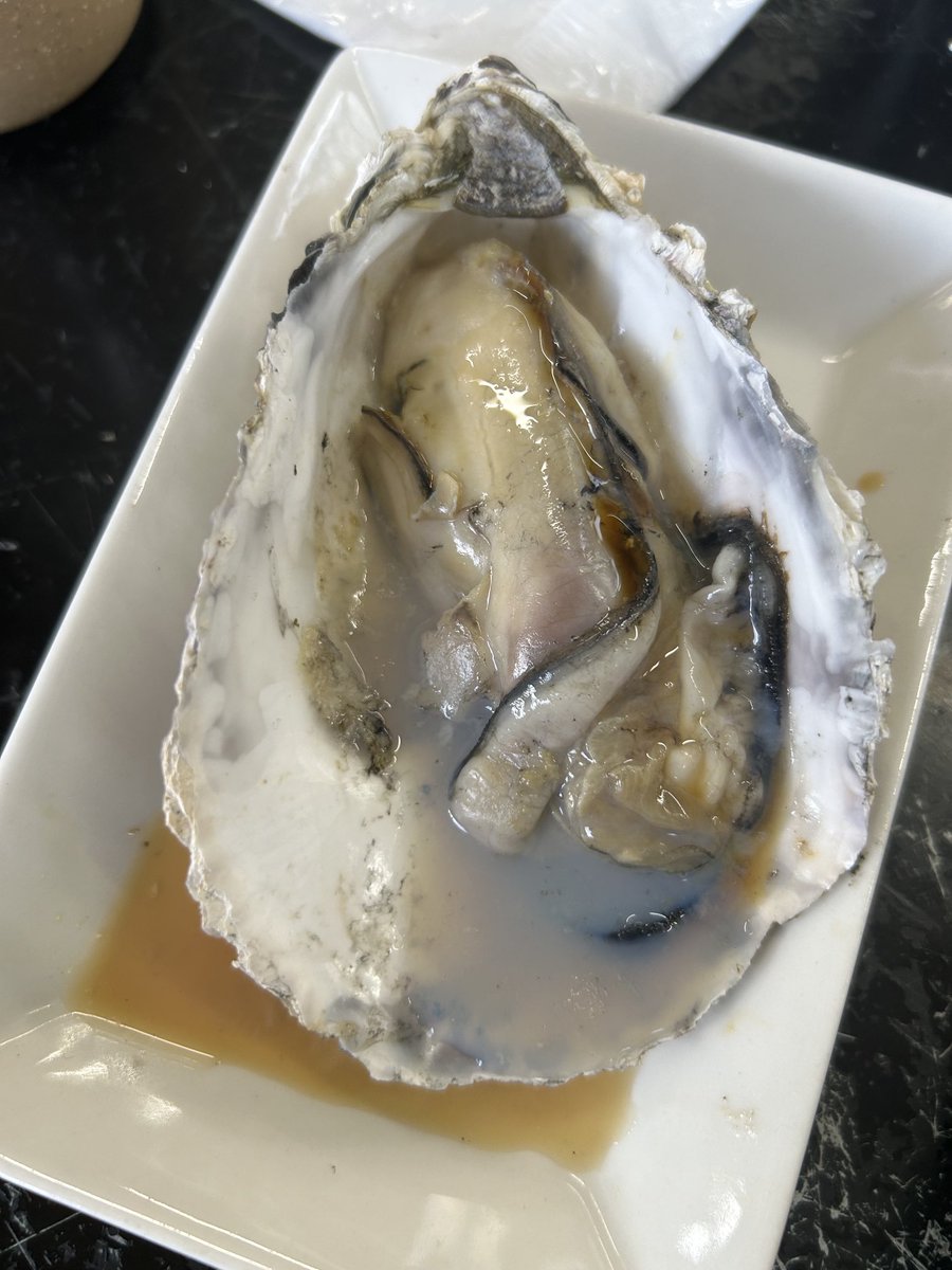 DaiPell's tweet photo. ふっくら
焼き牡蠣🦪
#松島最高 https://t.co/ZkDXmfhcvq