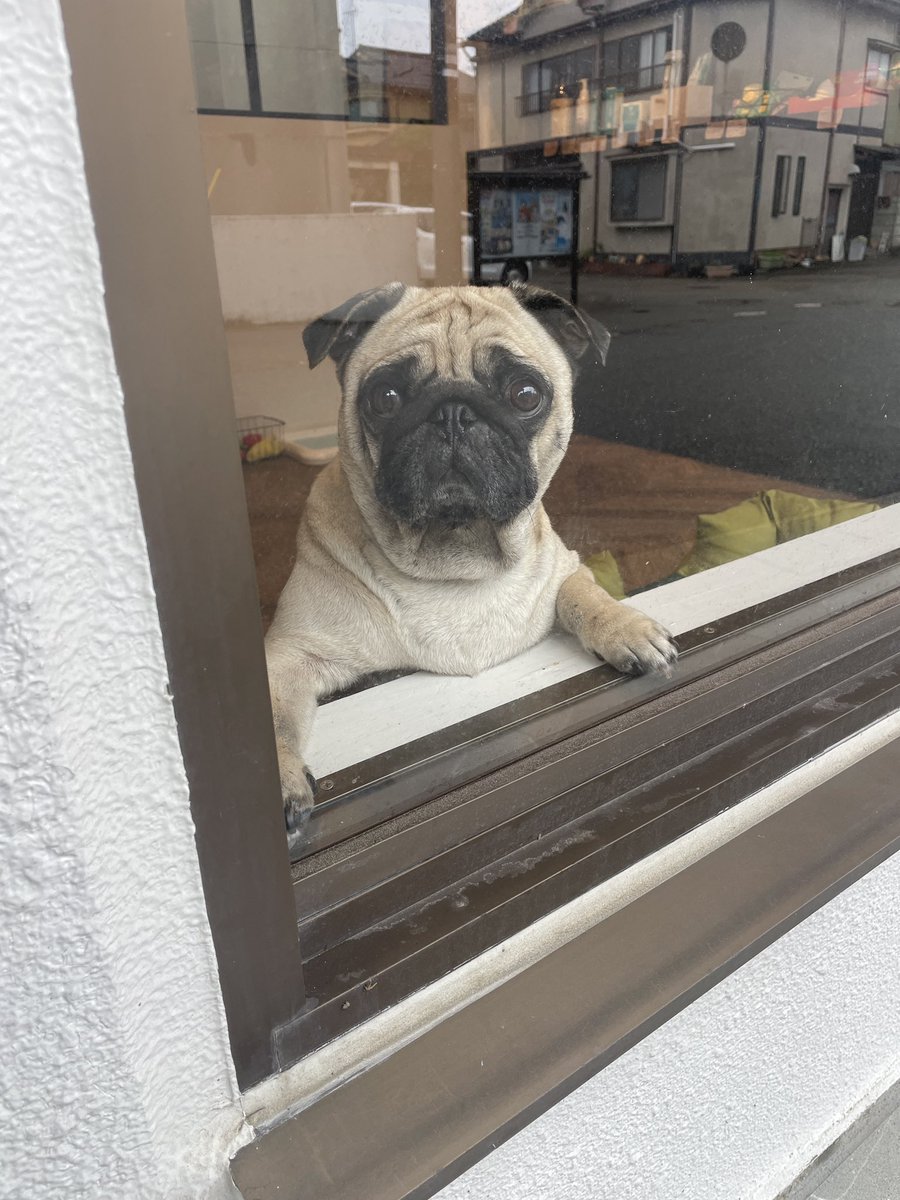 うめちゃん日記 (@Umechanpag) / Posts / X