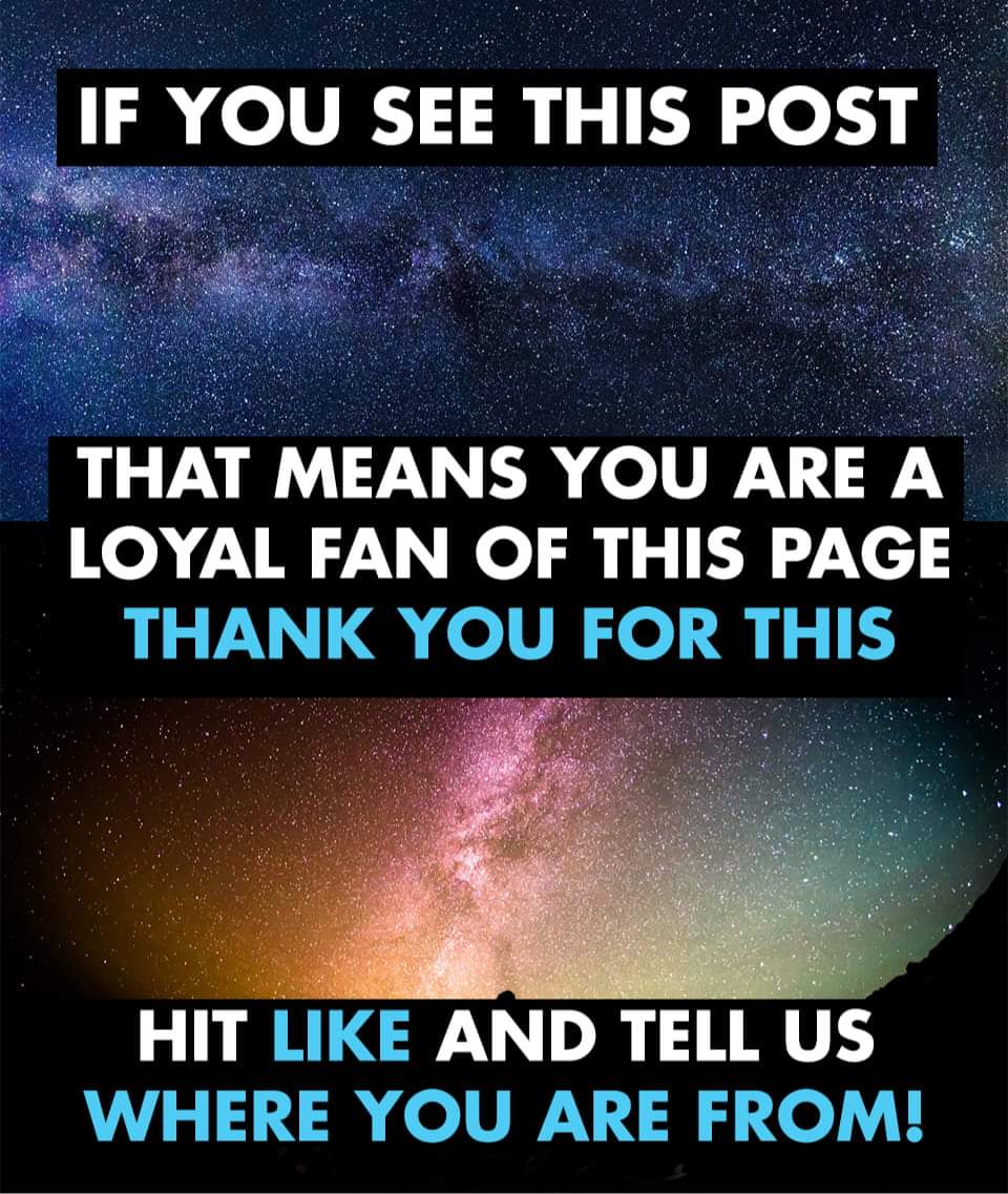 Curiosity tweet media