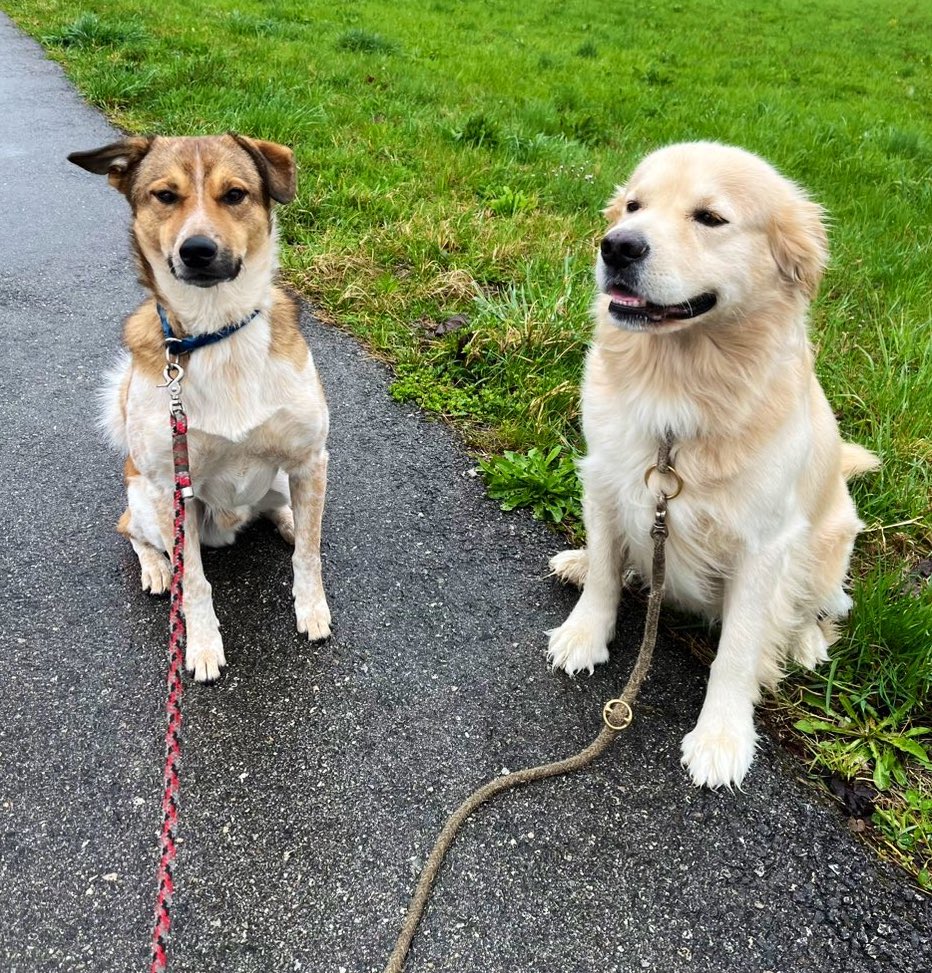 TechZz 🇦🇹 tweet media