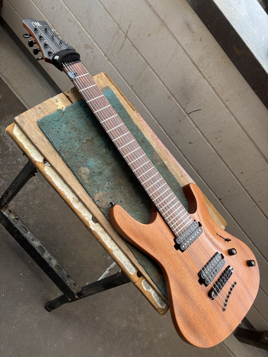 マヨちゃん8弦
整いました！