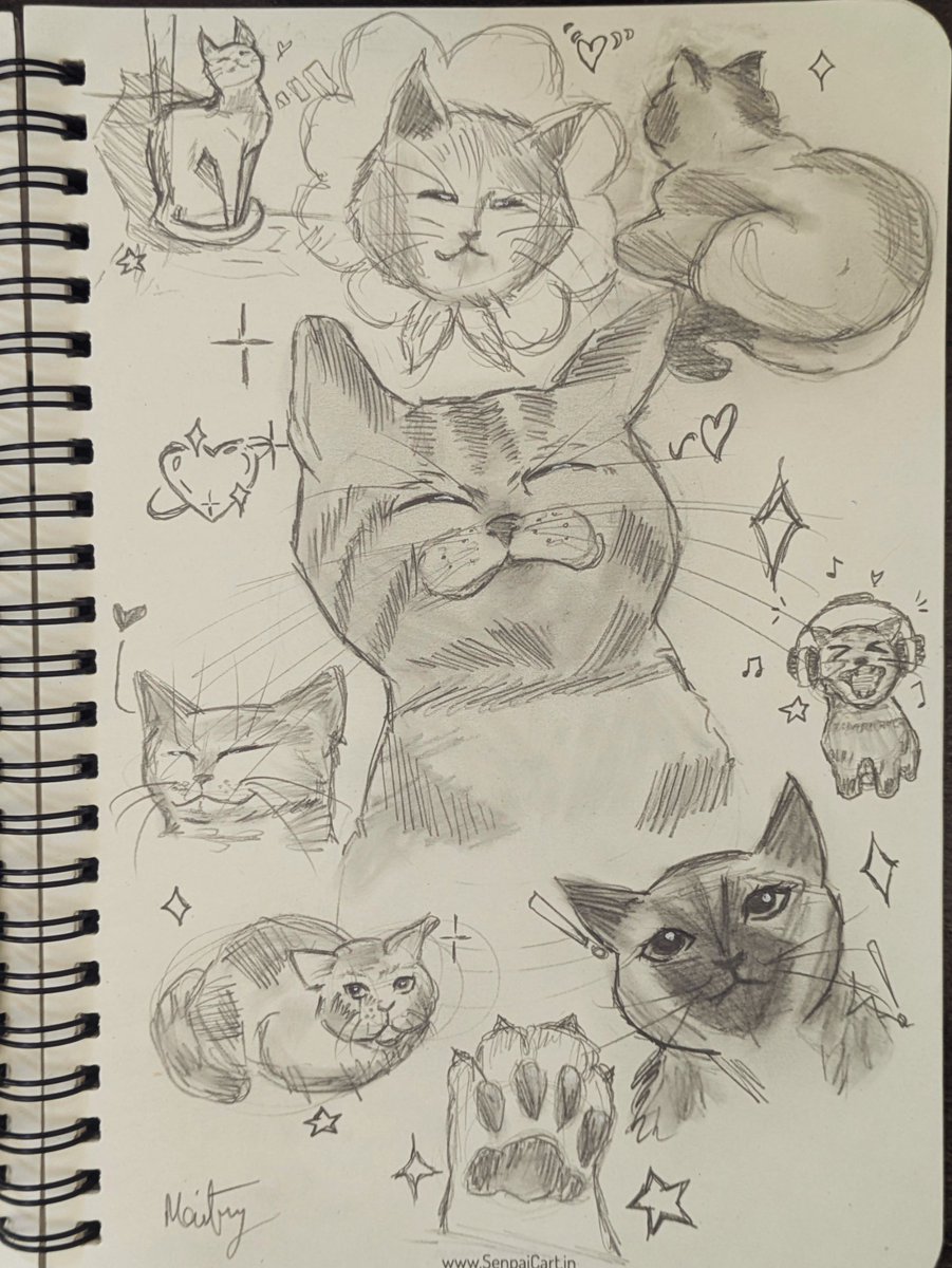 _Maitry's tweet photo. Doodling cats cuz why not?😺❤️

#doodles #CatsLover #sketch https://t.co/duEMO6PKdD