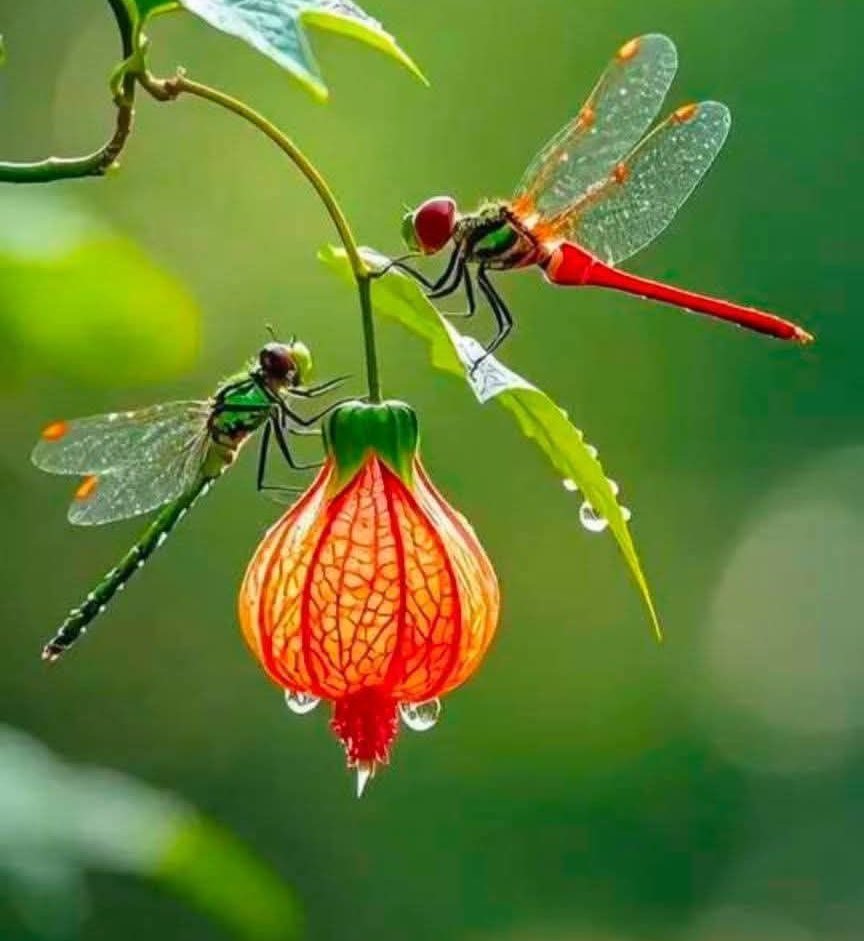 Random click ✨💫
