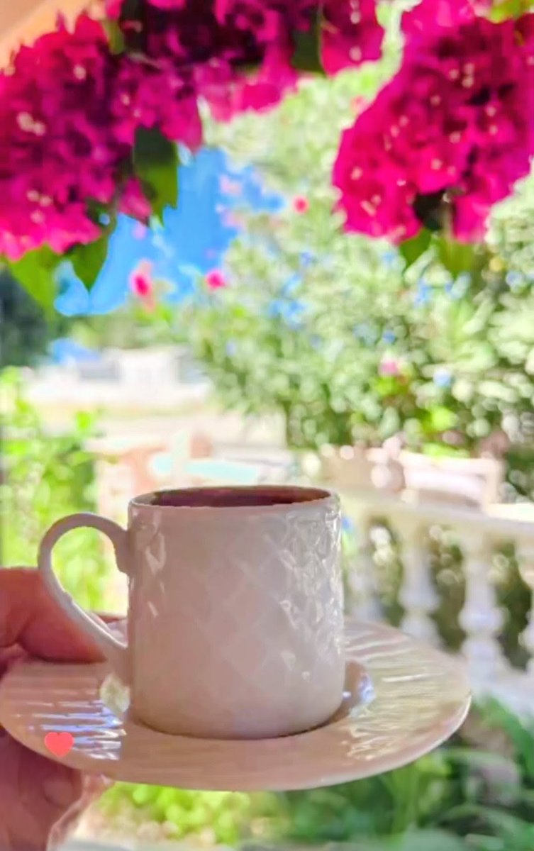 oapn84's tweet image. Mutlu pazarlar keyifle olsun kahveler😊🧘🏼‍♀️☕
32°🌞
#modd🧘🏼‍♀️🐞🧿