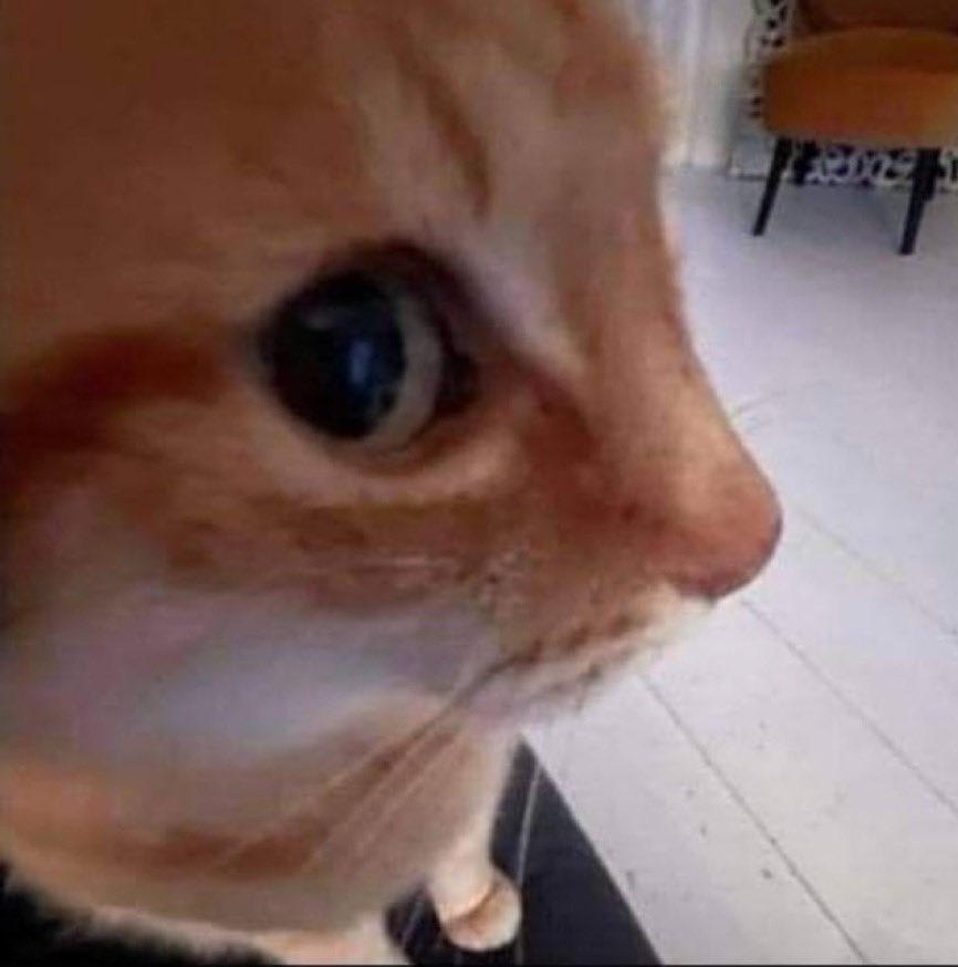 MaysofJai's tweet image. Did the commentator say bring ass to get ass??