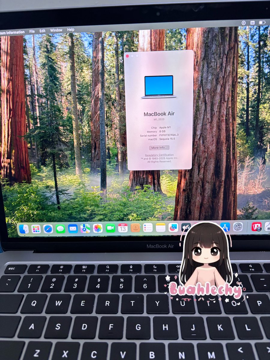 Lita🐻| wts Macbook Iphone Ipad ⋆｡˚𓇼 ⋆｡˚ tweet media