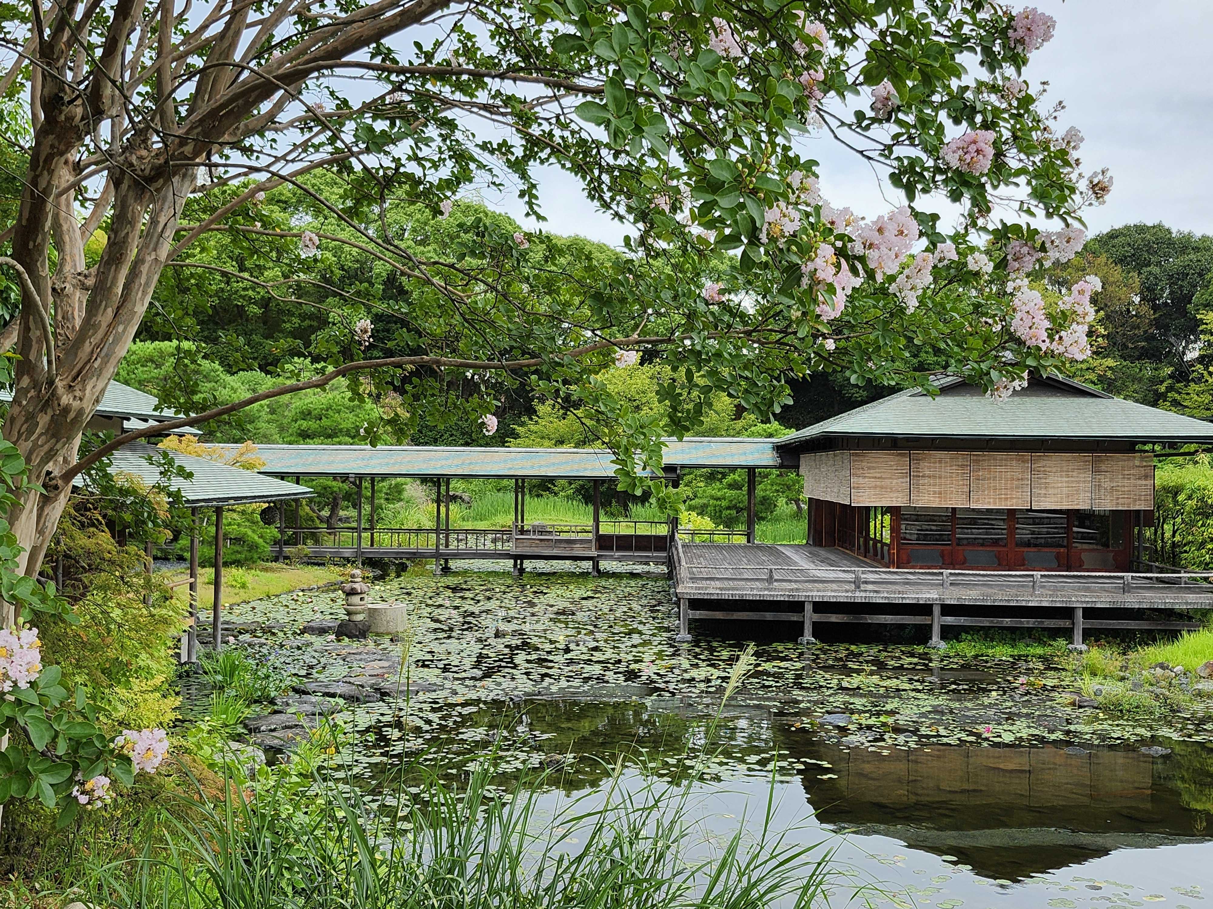 白鳥庭園 on X: 