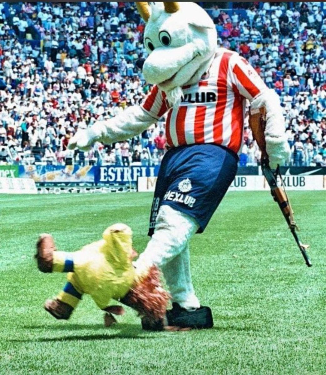 ThisIsErikD's tweet photo. Hasta que empate el américa, y aun así, nos pelaron toda la verga

Enorme el Club Deportivo Guadalajara ❤️🇦🇹 https://t.co/IA6bnQcZcy