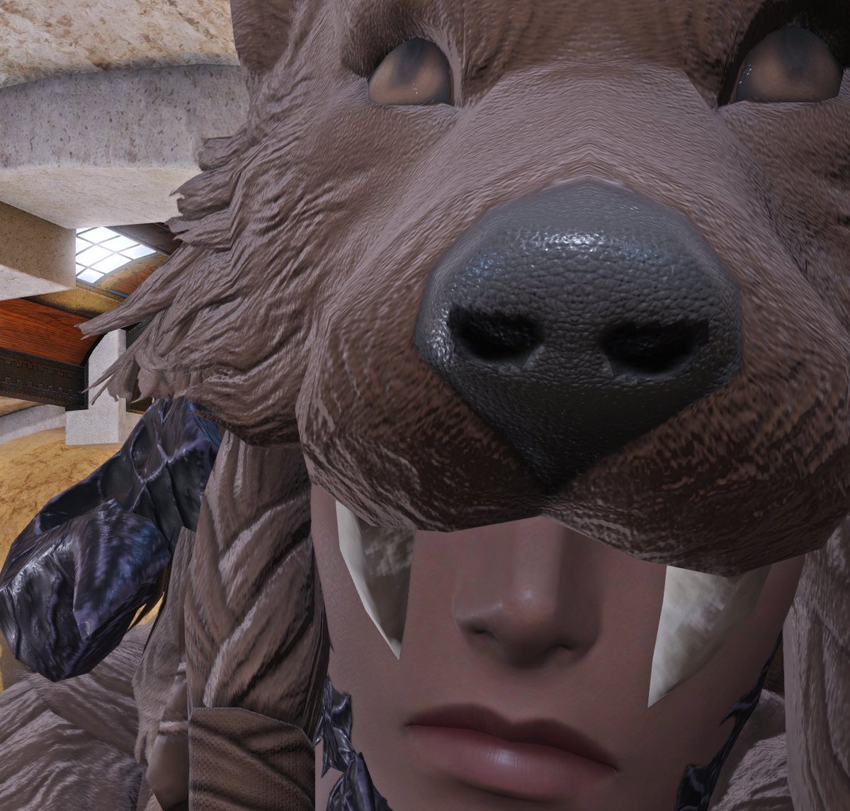 수호자 머리 코 촉촉하다....