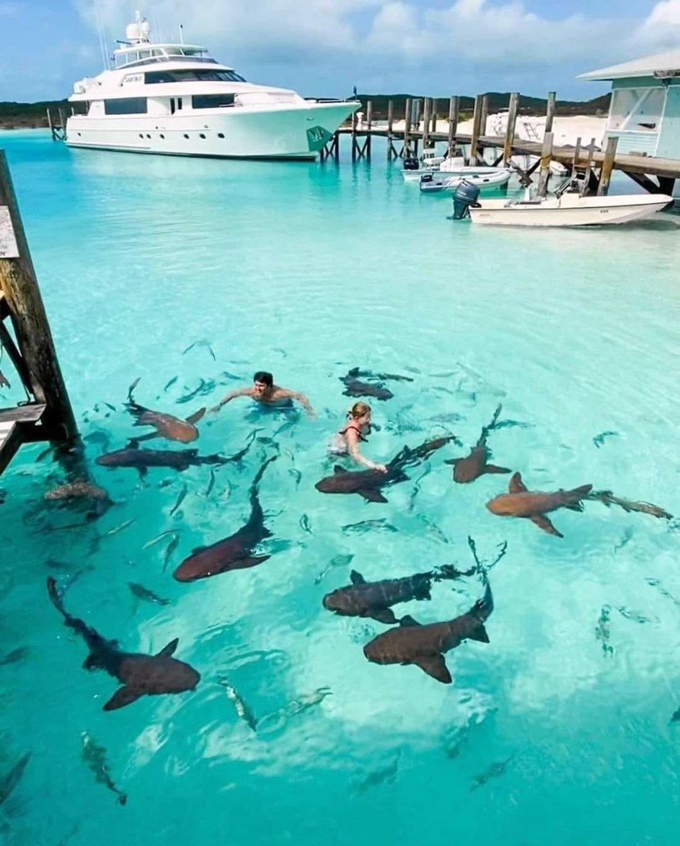 The Bahamas