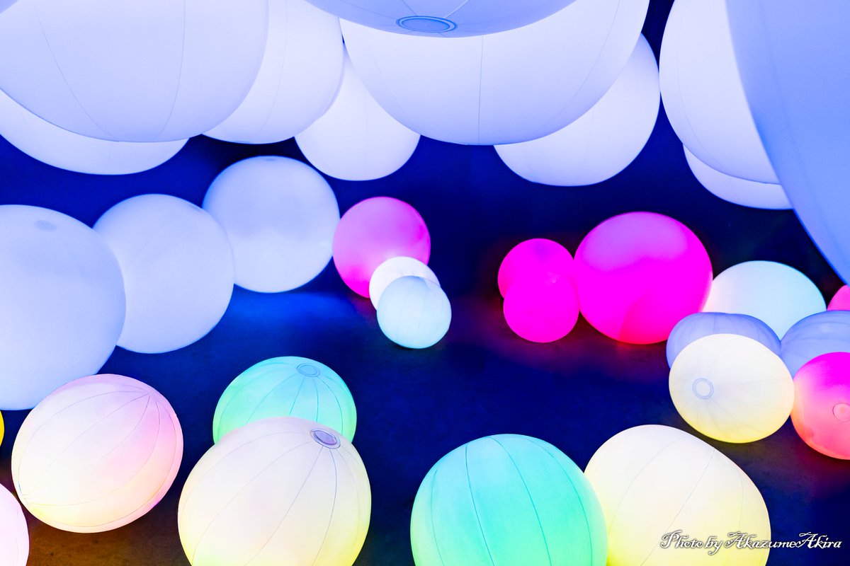 AkazumeAkira's tweet photo. 『光のアート』
カメラ:a7Ⅳ
レンズ:SEL20F18G
ISO:6400-12800
f値:2.0
ss:1/30
#写真好きな人と繋がりたい
#カメラ好きな人と繋がりたい
#ファインダー越しの私の世界
#キリトリセカイ
#チームラボ #チームラボ大分
#teamLabFuturePark #FuturePark #未来の遊園地
#チームラボ学ぶ未来の遊園地と花と共に生きる動物たち
#OPAM #大分県立美術館 #大分