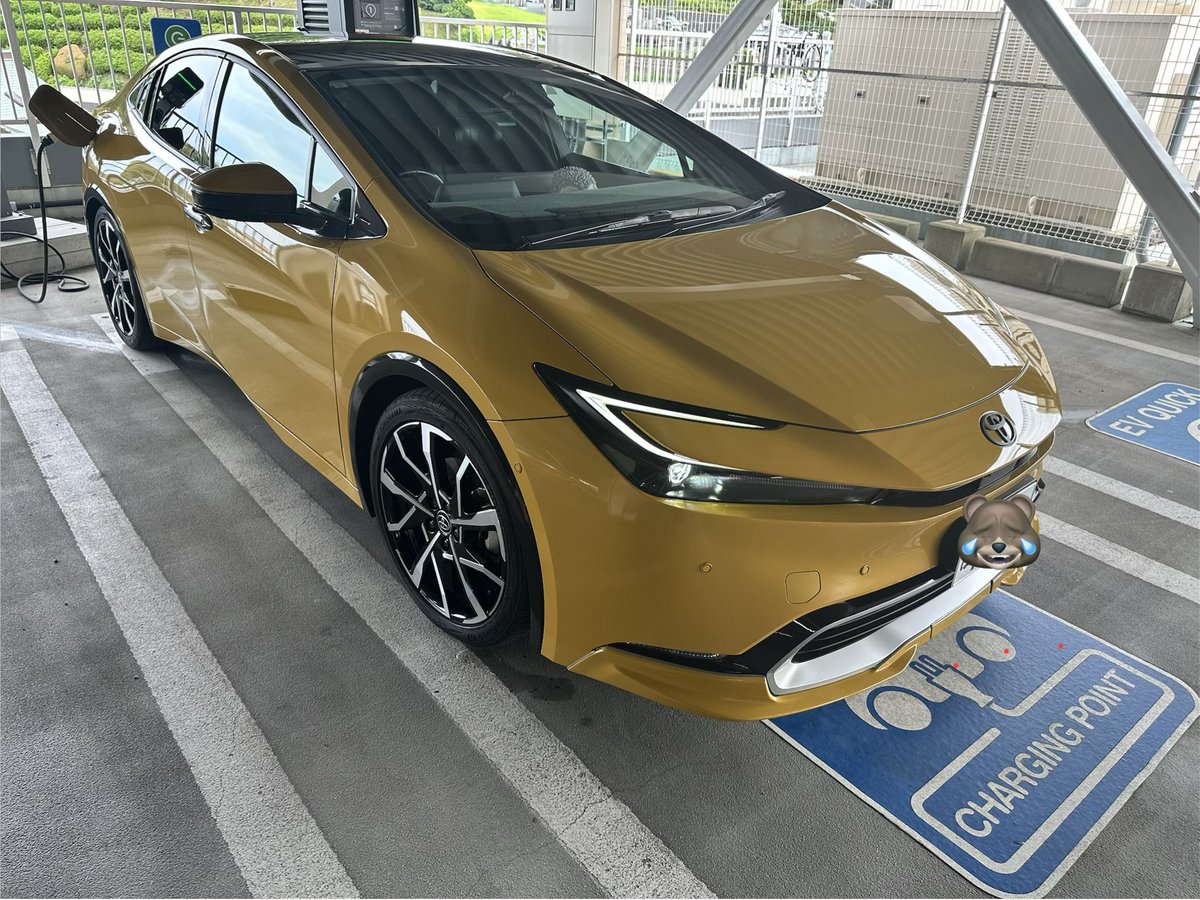 tomoparu's tweet image. #60prius
#secondstage 
ピラーガーニッシュ&amp;amp;
ドアミラーカバー
付けました
いい感じ❤️