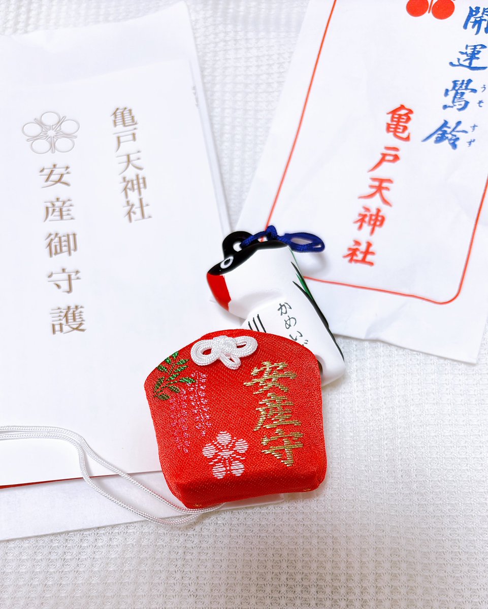 こまつな🌱 tweet media