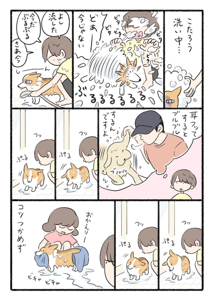 もっちページ もっち (@m_o_t_c_h) / X