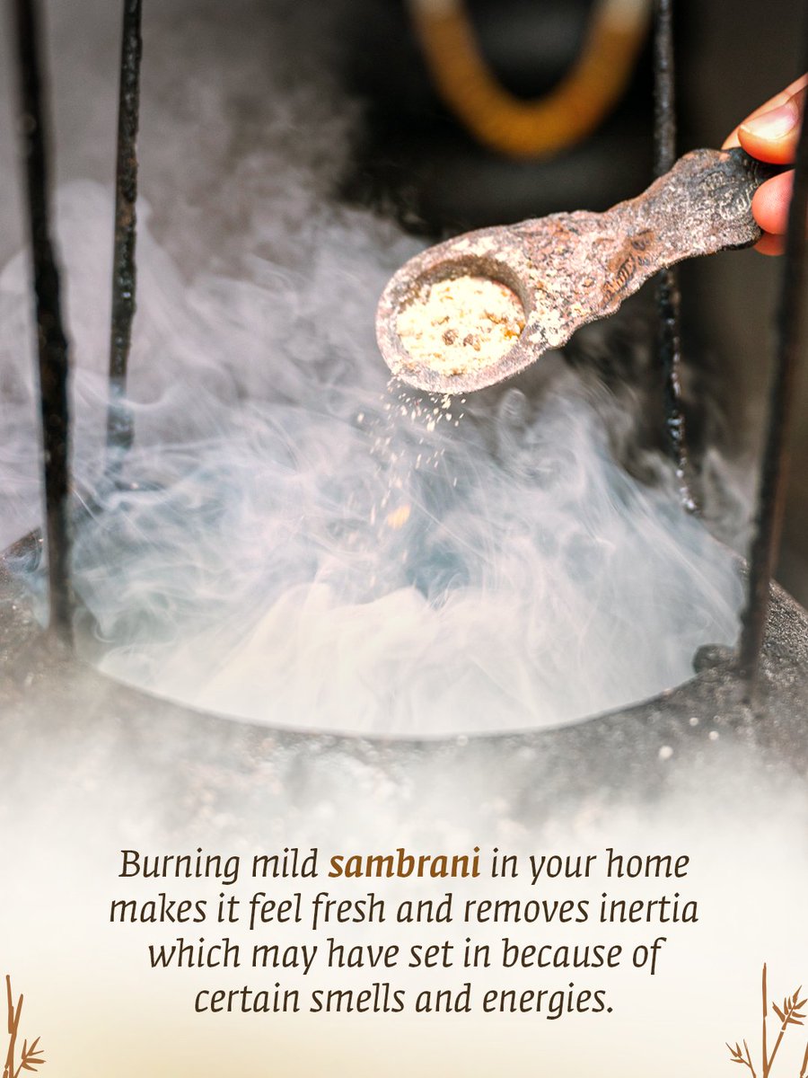 ishafoundation's tweet photo. Discover the secrets of Sambrani! https://t.co/MaKUBoRvCo