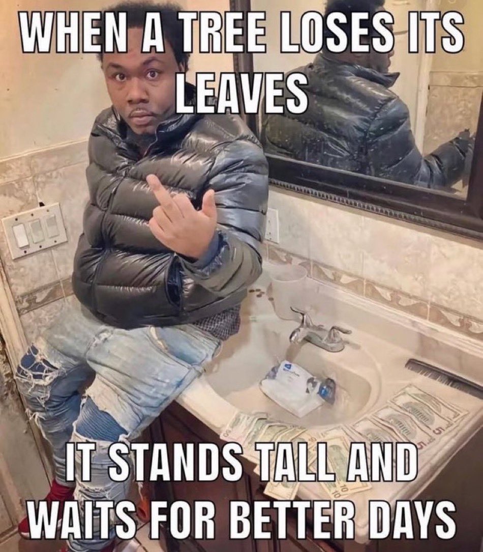 These rugs ain’t killing my tree.