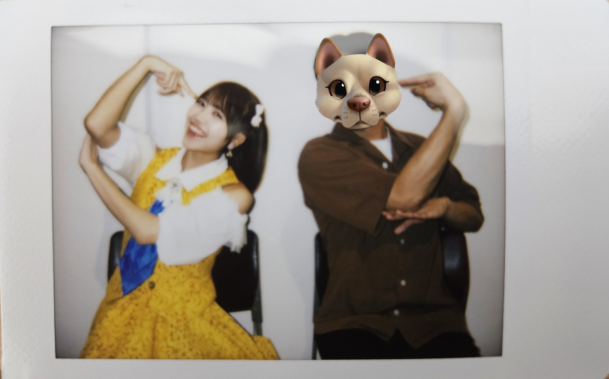 もんてぃー🐶 on X: 