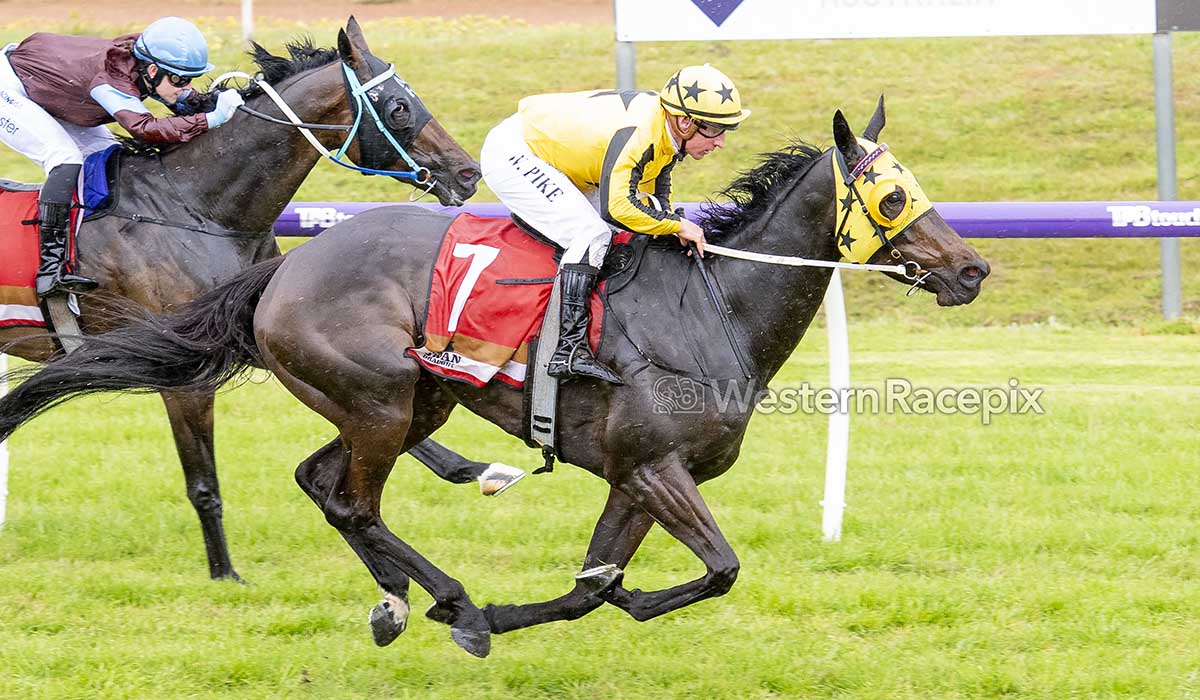 STYLE DIVA - Northam Sun 14th September <a href="/northamracing/">Northam Race Club</a> #WesternRacepix #NorthamRaces

More 📸 westernracepix.com