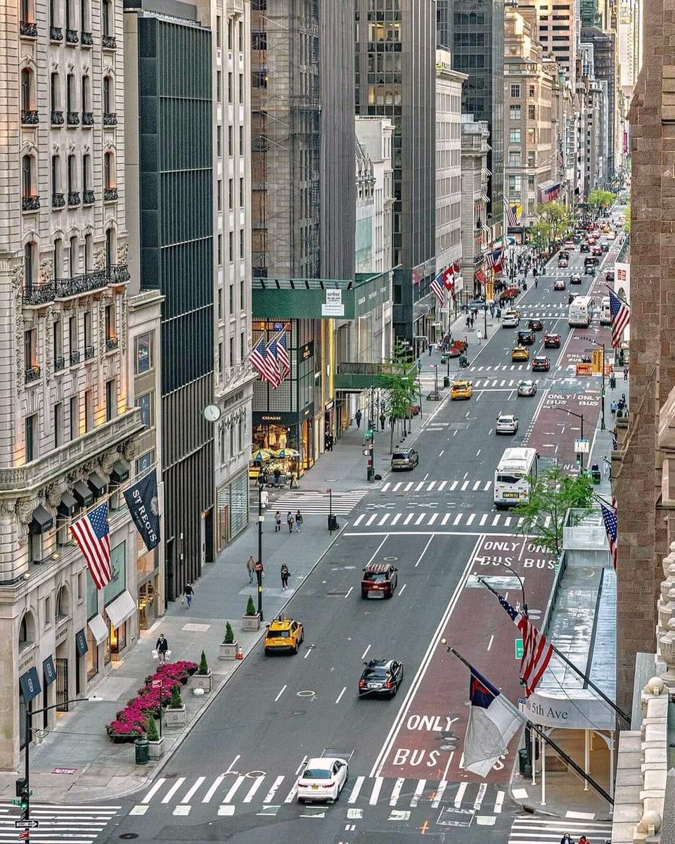 New York City  Dream City