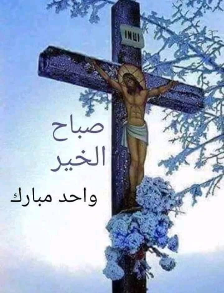 Youssef Touma (@touma_yous36675) on Twitter photo 