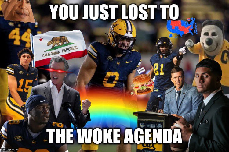 “Erm Minnesota is a blue state 🤓” whatever belt to ass you oversized rats