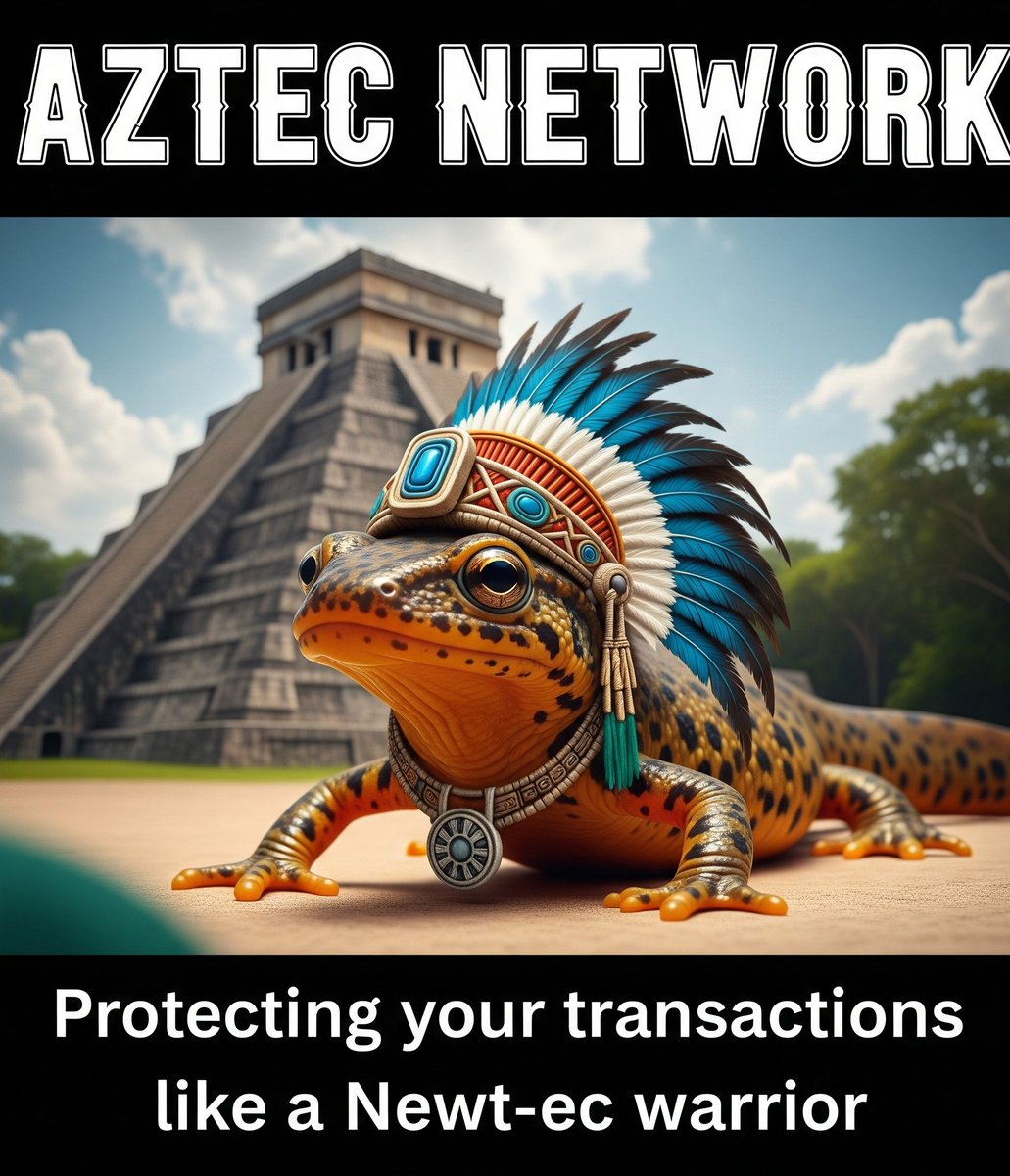 Aztec Network
Protecting your transaction like a Newt-ec warrior
