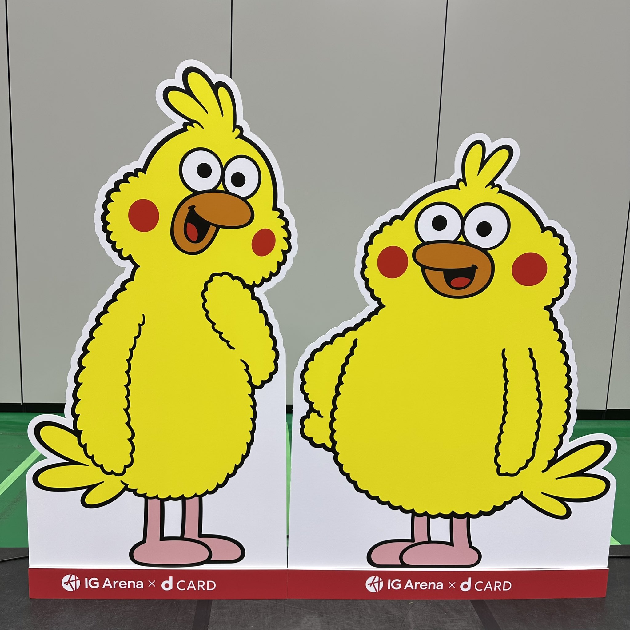 ポインコと山歩き🐥🐥🐾 (@paopaopanda_jp) / X