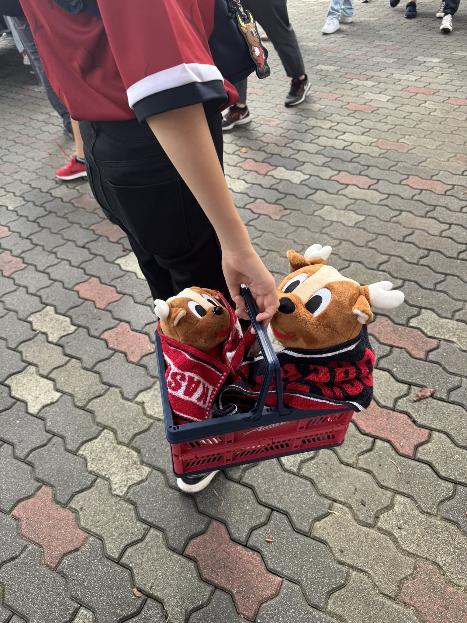 鹿島アントラーズ グッズ担当【非公式】 (@shika_goods) / X