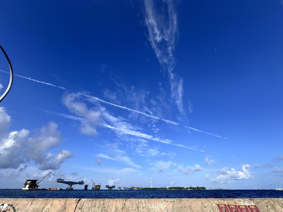 Dopamine🎈❓ tweet media