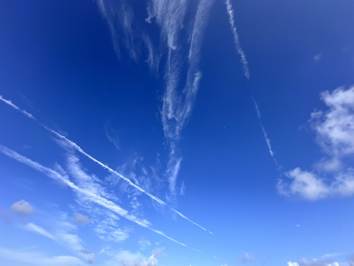 Dopamine🎈❓ tweet media