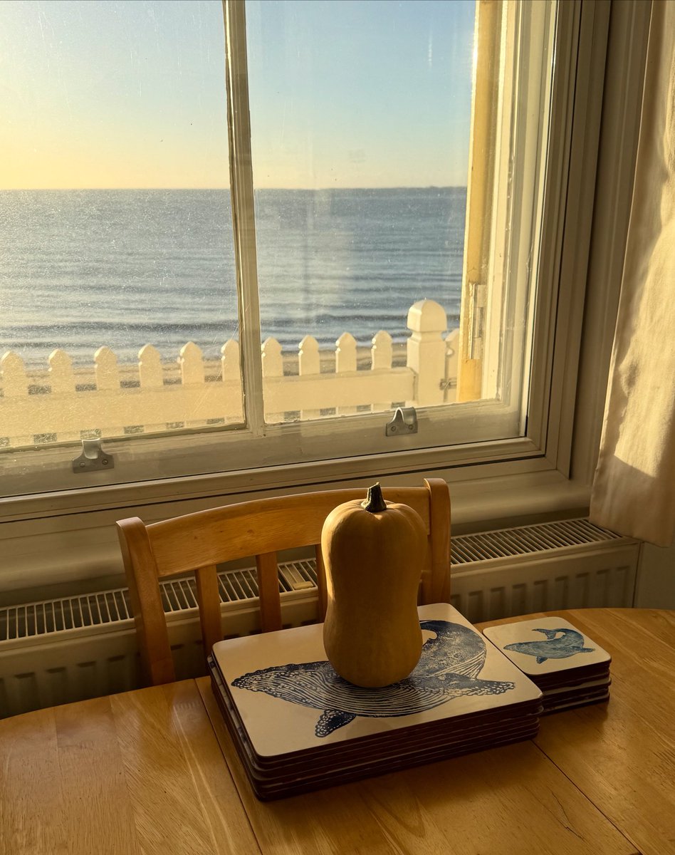 tjd19's tweet image. comedy picture of the day, no we&apos;re not giving a butternut squash a sea view, we brought one from the allotment to eat whilst here, ripening off in the sun 🌊🍠😂#vegbythesea #plot24