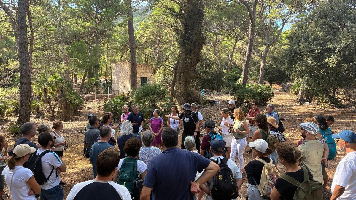 Una ruta poética conmemora los 150 años del poema 'El pi de Formentor' diariodemallorca.es/cultura/2025/0…