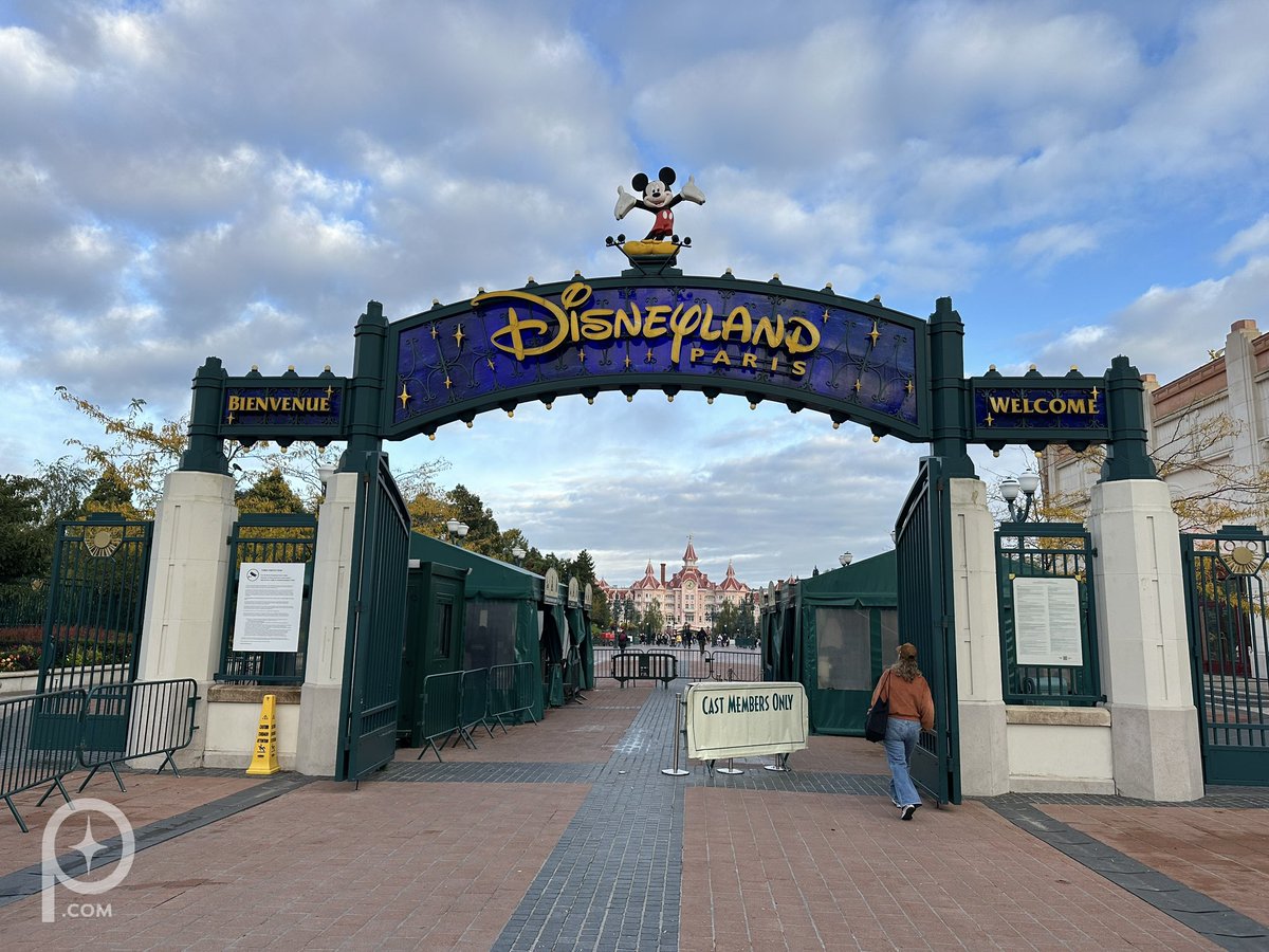 Pixie Dust DLP ✨ tweet media