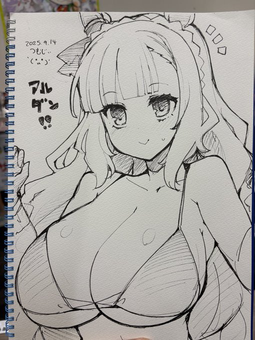 スケブアルダン 