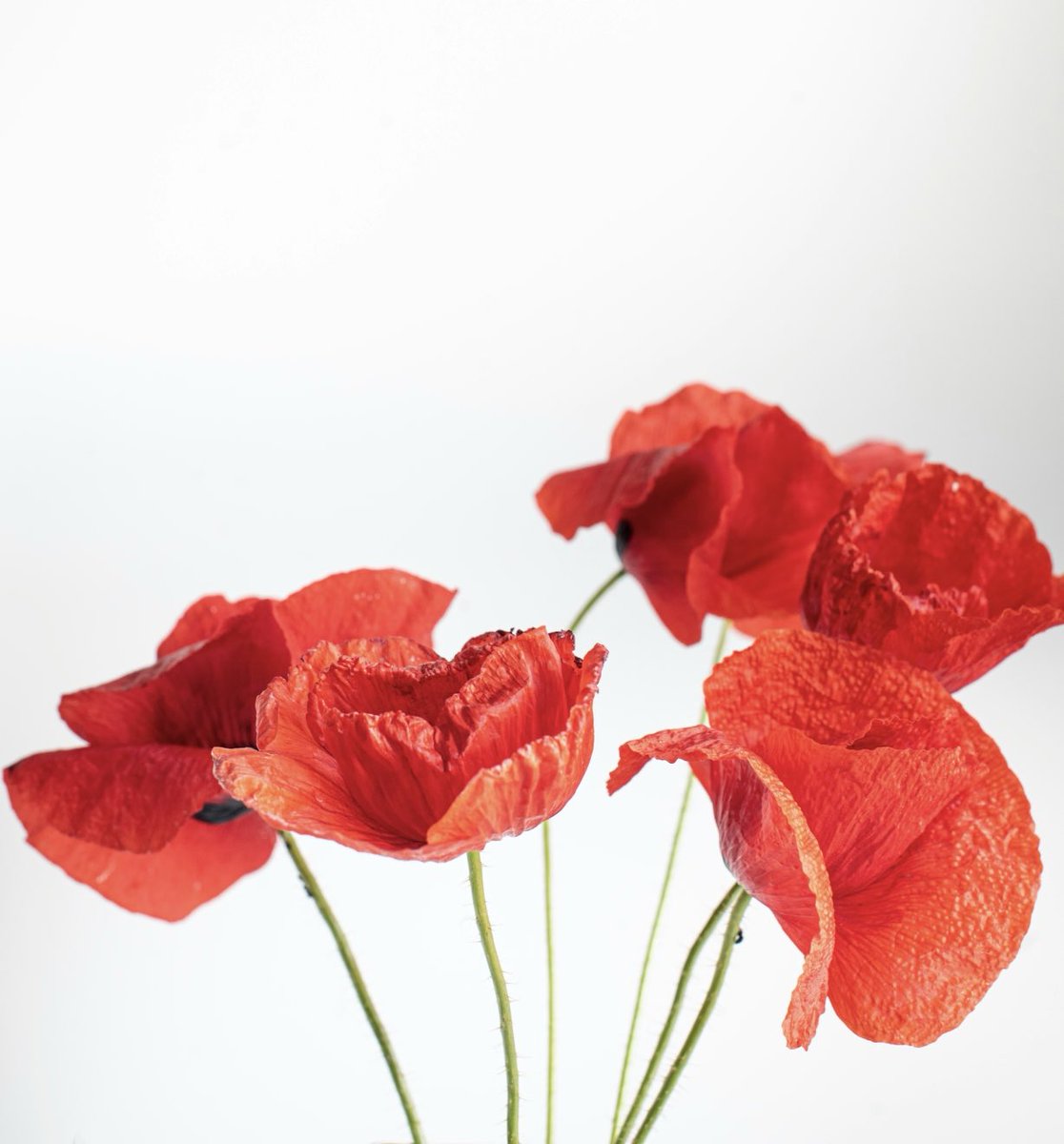 قهوتي هذا الصباح …