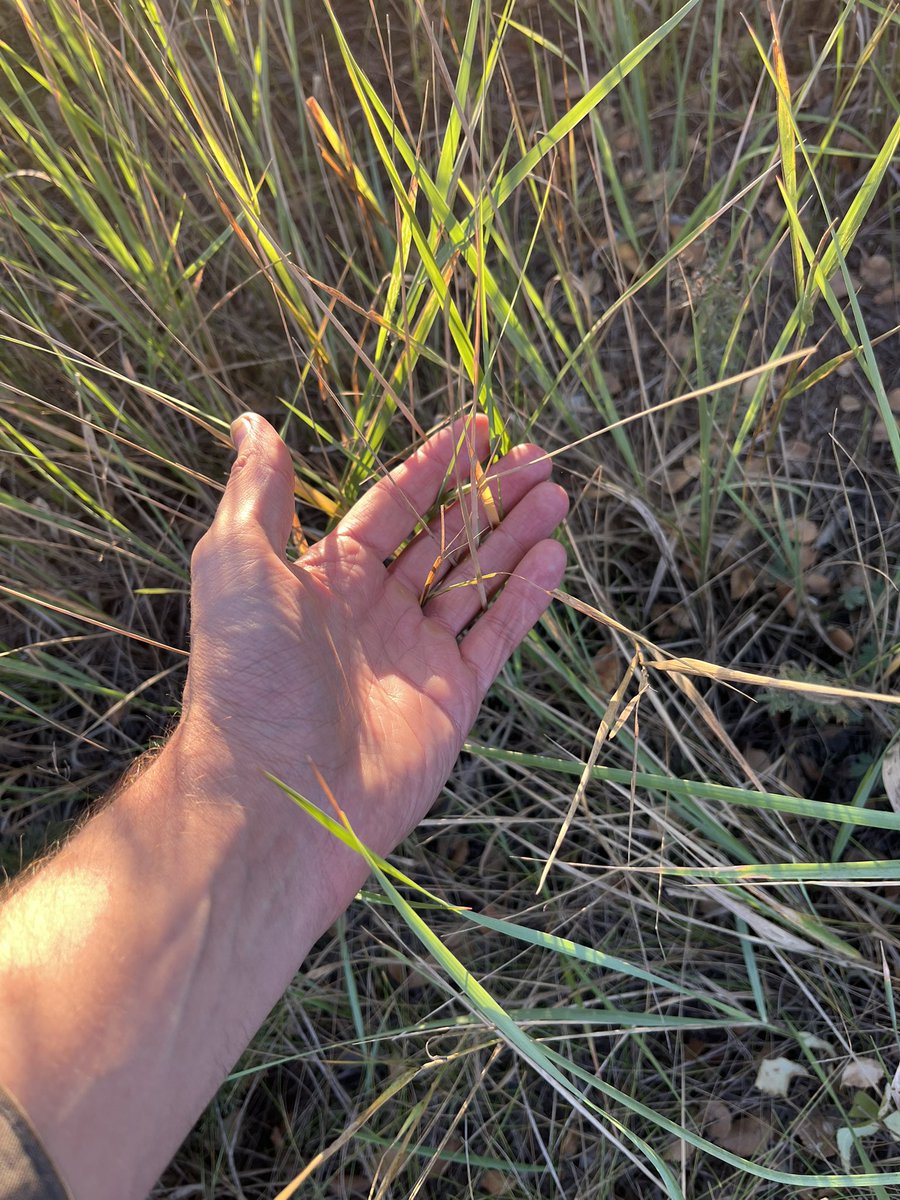 #openseatouchgrass