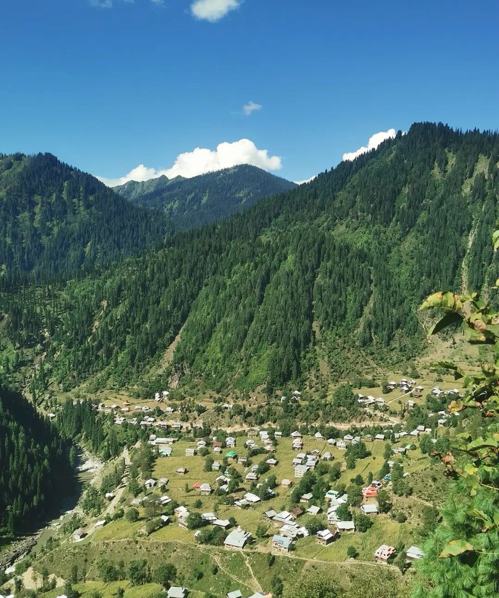 Salar Kashmiri tweet media