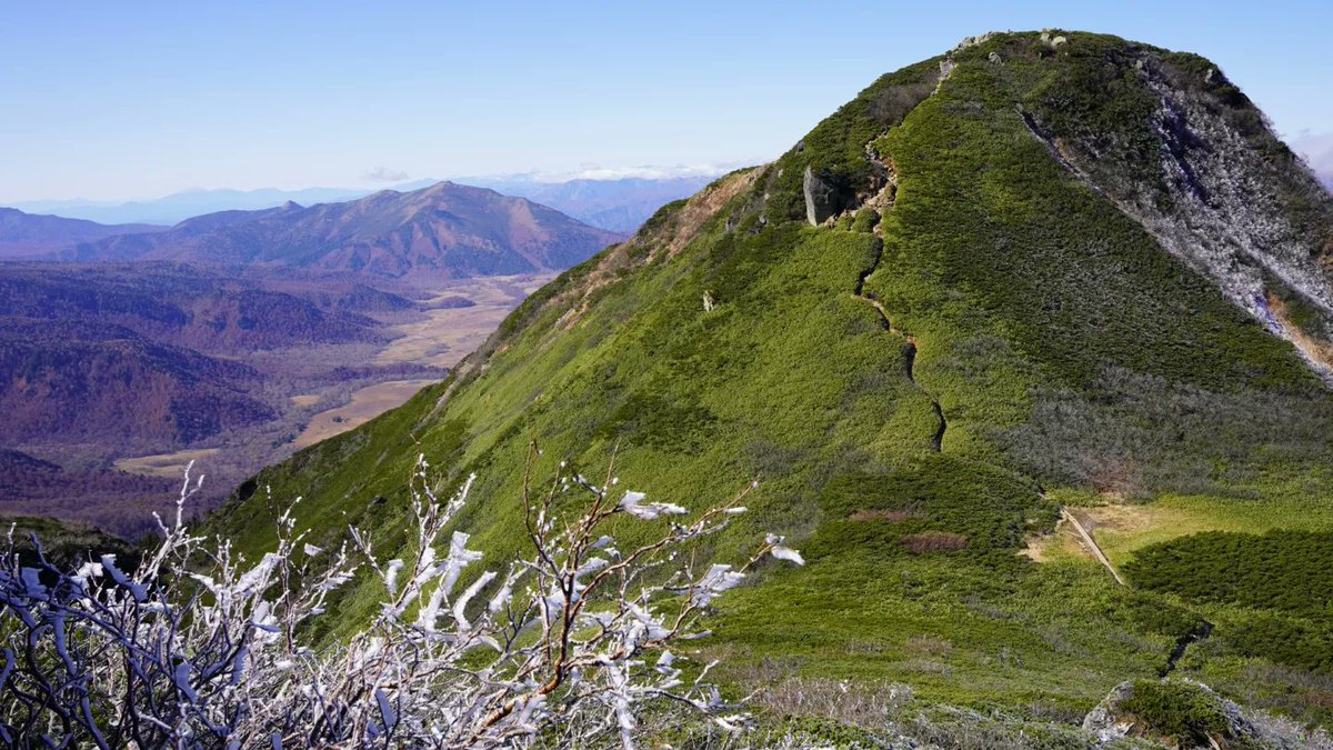 尾瀬小屋【尾瀬国立公園】 tweet media